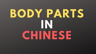 Body Parts in Chinese | Learn Chinese Vocabulary | how to learn Chinese | Learning Chinese screenshot 5