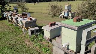 The Grocery Stores Are Open. E That Smell