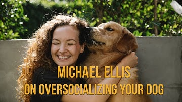 Michael Ellis on Oversocializing Your Dog