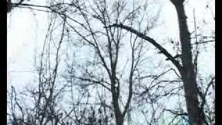 Кавказская война (фильм 3 "Эпоха Таймиева и Ермолова" ) Кавказская война (фильм 3 "Эпоха Таймиева и Ермолова" )