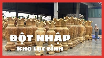 Đột nhập kho hàng lục bình lớn nhất miền Bắc ..|Báo giá lục bình Cẩm vàng đủ kính thước 0338.528.529