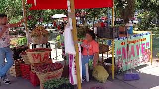 Mexicalcingo Market in Guadalajara, Jalisco