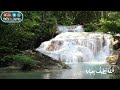 الله لطيف بعباده يرزق من يشاء وهو القوى العزيز سورة الشورى الآيه 19 القارئ اسلام صبحي الله لطيف بعباده يرزق من يشاء وهو القوى العزيز سورة الشورى الآيه 19 القارئ اسلام صبحي