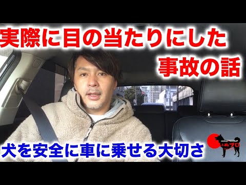 犬を安全に車に乗せる大切さ　実際に目の当たりにした事故の話　PSDドッグサポートセンター　いぬプロ　inupro  犬のしつけ　教育　犬の悩み相談　犬を車に乗せる