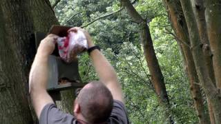 In this video I am refurbishing my squirrel feeding stations in preparation for for the autumn/winter. I will not shoot the feeders for 6-8 