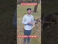 English–Nepali Animal Meaning 💥 Boost Your Vocabularyजङ्गली जनावर Meaning | एक नजरमा सबै सिक्नुस्!”