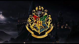 Disturbia X Radioactive Hogwarts Houses Video Edit Capcut