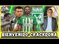 Bienvenido edwin cardona   atl nacional buen refuerzo verdolaga gente pasin y ftbol 