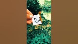 Story Wa Keren 30 Detik - Happy New Year 2021