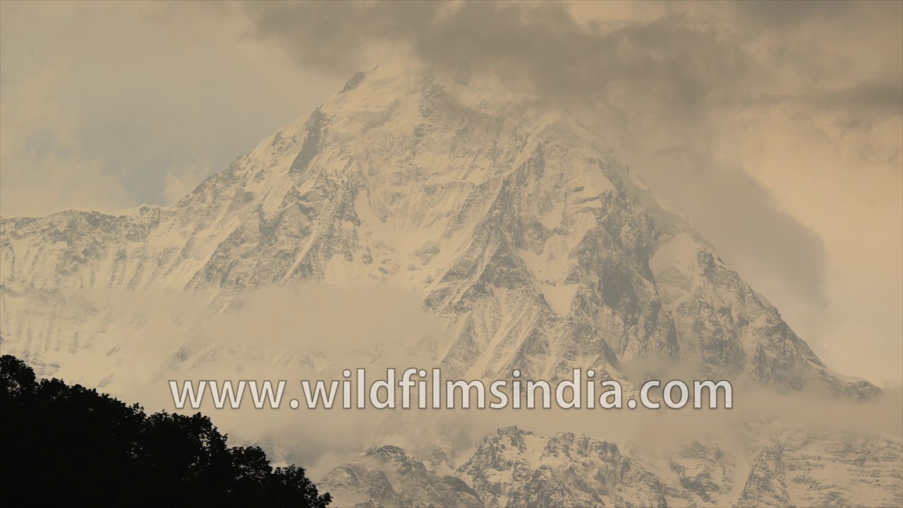 nepal flag Peaks of Nepal: Annapurna South standing tall at 7219 meters