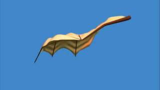 SparrowHawke 3D Cloth Plugin for Carrara - The Bat Wing Test