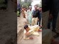 Sindh Police Zindabad Karachi Police Zindab Good Work Well Done Sindh Police Zindabad Karachi Police Zindab Good Work Well Done