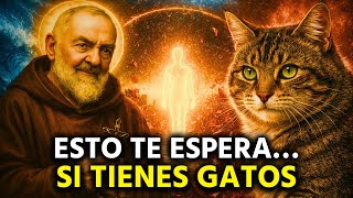 Download Lagu El Padre PÍO reveló: el DESTINO de quienes tienen GATOS en casa | ¡No te pierdas este vídeo! MP3