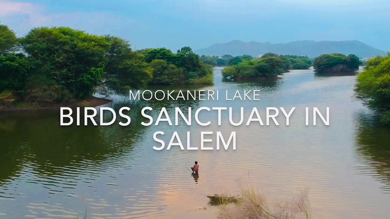 AERIAL VIEW OF SALEM MOOKANERI LAKE.. ISLAND OF SALEM..YERCAUD LAKE