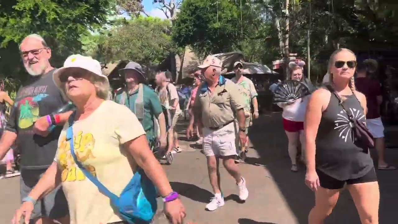 Tim Tam Drummers On Way To Rafiki’s Planet Watch! 09/11/23