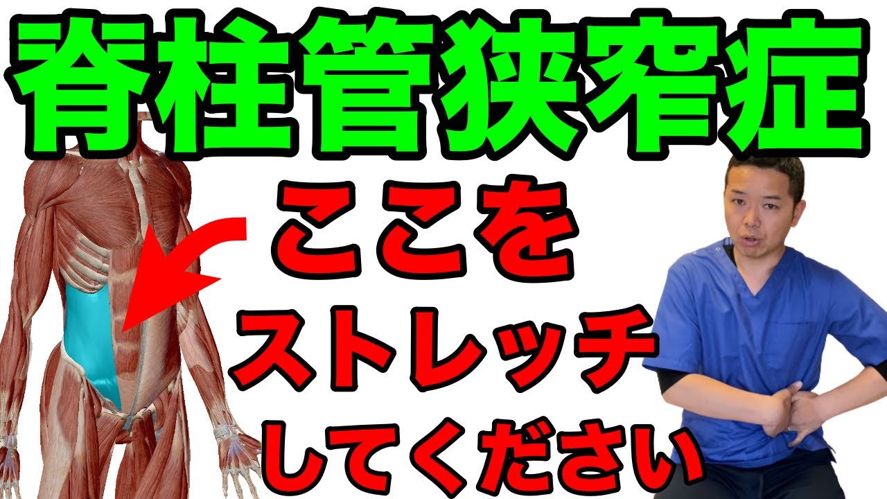 初売り 脊柱管狭窄症 1分 スタスタストレッチ 腰痛 Www Us Immigrationvisa Com