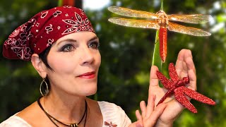 Dragonfly Visits FOR 18 DAYS! And I petted him!