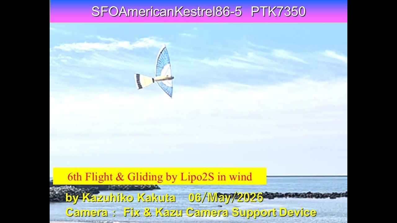 サーボ駆動羽ばたき機 SFOAmericanKestrel86-5 PTK7350 31g with