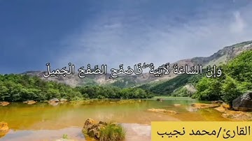 ختام سورة الحجر فى تلاوة خاشعة للقارئ محمد نجيب رحمه الله