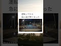 定置網にかかった魚みたいw #shorts #おもしろ