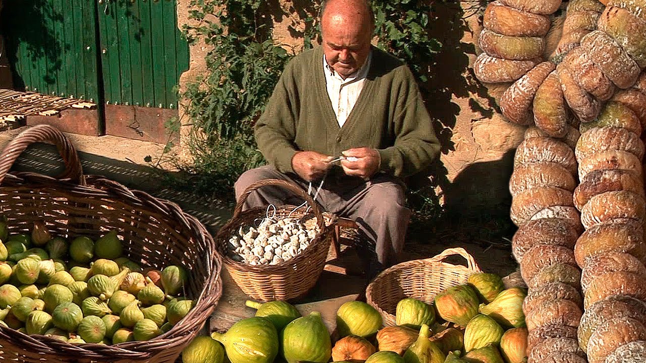 Инжир сушеный. Сушат в тростнике и сгребают для консервации и потребления зимой.