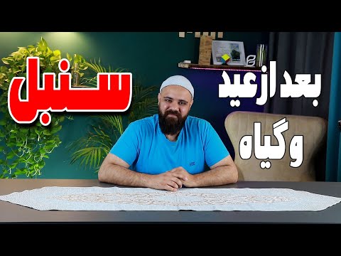با سنبل عید چه کار کنیم