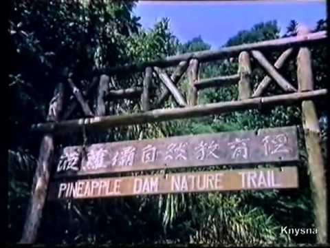 政府宣傳片] 1983年   漁農署