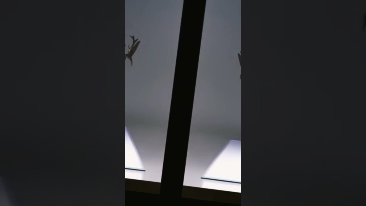 Их реакции.. 🤭😏 