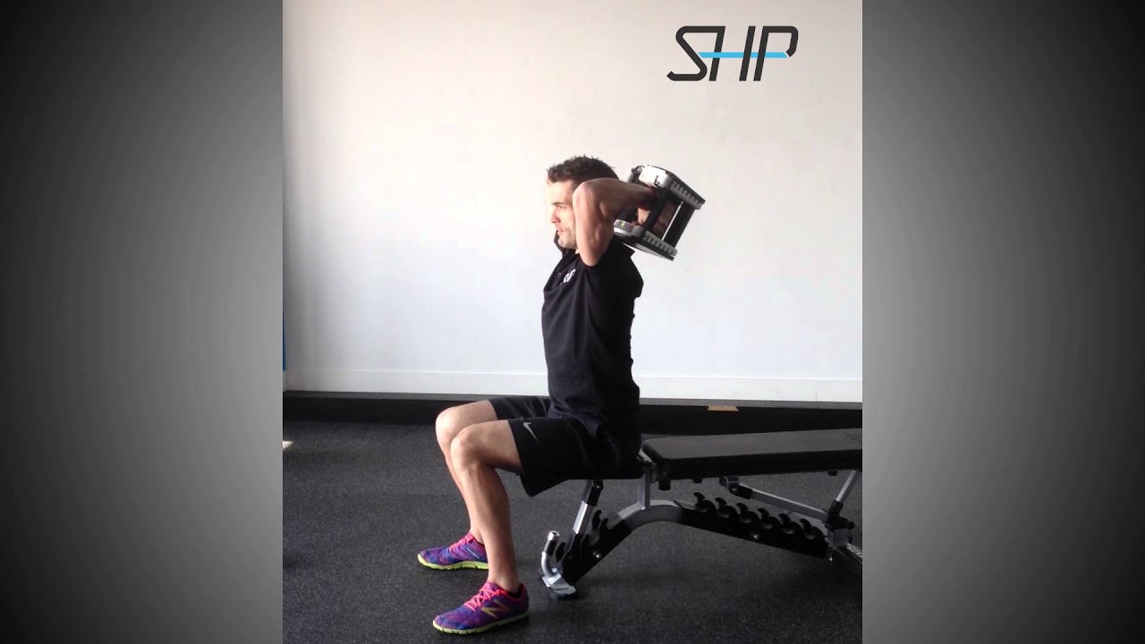 Seated Dumbbell  French  Press  YouTube