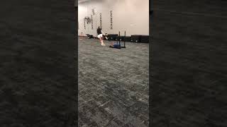 Crossover sled drag
