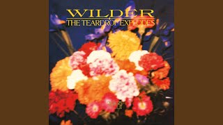 Better Scream/ Make That Move (Richard Skinner Session / Monday, August 17, 1981) - The Teardrop Explodes
