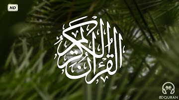 قرآن كريم بصوت ناصر القطامي | حالات واتس اب دينية | مقاطع دينية قصيرة | ارح سمعك