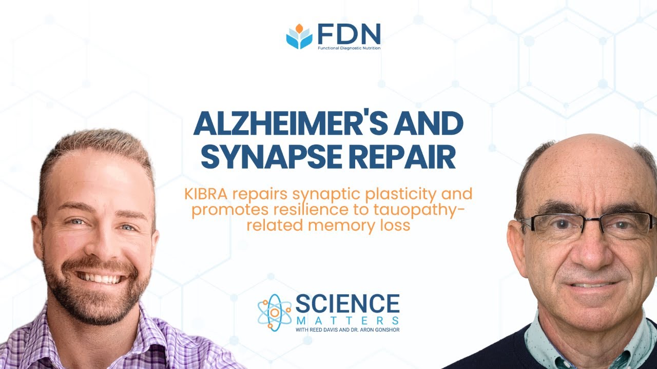 Unlocking Synaptic Plasticity: KIBRA's Role in Fighting Memory Loss ...