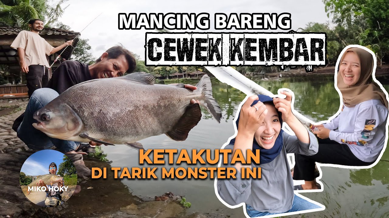 🔴 Mancing di Westlake Jogja Rell Menjerit di Tarik Ikan Monster