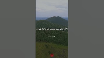 سورة التين من القارئ عبدالرحمن السديس برواية حفص عن عاصم - مرتل