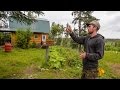 Off The Grid In Alaska ~ A Tiny Home & Farm In The Alaska Bush ~ Full Tour