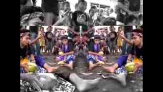 Download Lagu NEW SINGO KENCONO KEPANG KECIL LIVE PATEBON TEGAL MP3