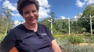 Why People Live in Toowoomba - with Bronwyn from McAdam and Turnbull Realty