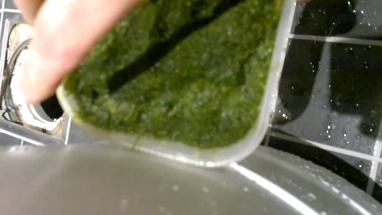 Clean Algae Turf Screen