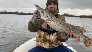 Щука и судак поздней осенью | Проводка на судака | Спиннинг в ноябре by Fishing Time - Рыбалка в Беларуси 1,995 views 6 months ago 20 minutes