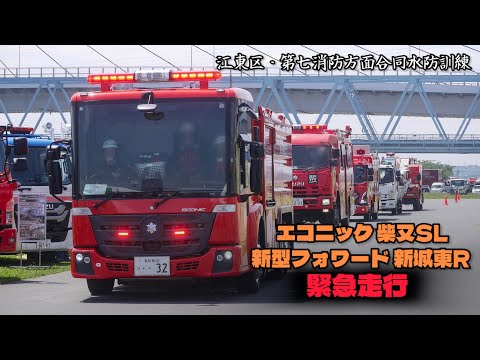 東京の消防士　ワッペン　即応 東京消防庁のセント・バーナード犬のワッペン | Grand Tour of
