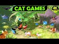 Cat games  cat entertainment for cats to watch  cat tv for cats 4k 60 fps