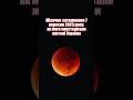 Місячне #затемнення: як його бачили жителі України #Місяць #eclipse  #астрономія #космос #Всесвіт
