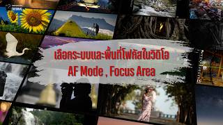 128 AF Mode Multi Wide Tracking VDO