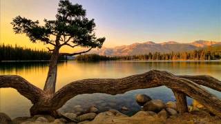 Eesti Muusika 2 Popurii