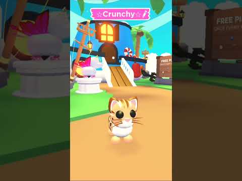NEW PET WEAR FOR LEOPARD CAT IN ADOPT ME | Roblox 😸💜 - YouTube