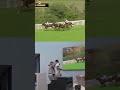 Premier League Brighton players react to Seagulls Eleven win at Qatar Goodwood Festival ⚽🏇