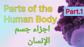 اجزاء جسم الإنسان بالانجليزية Parts of the Human body - الجزء الأول - الانجليزيه مع كنزي