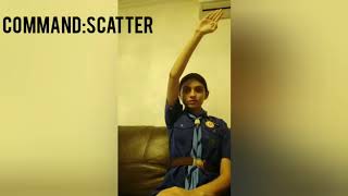 HAND COMMAND IN  BSG BY GUIDE AANYA SWAMI FROM CARMEL CONVENT SCHOOL CHANDIAGRH