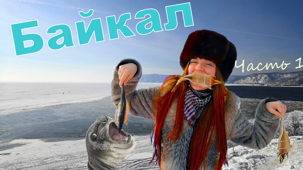 На Байкал , в Листвянку . Байкальский омуль. Нерпы. - YouTube